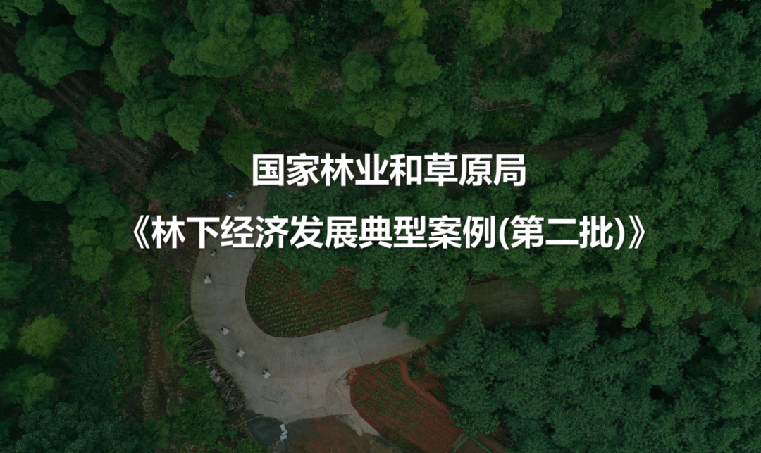国家林业和草原局 《林下经济发展典型案例(第二批)》：发展举措、经营类型、典型成果、效益体现四大维度具体措施总结